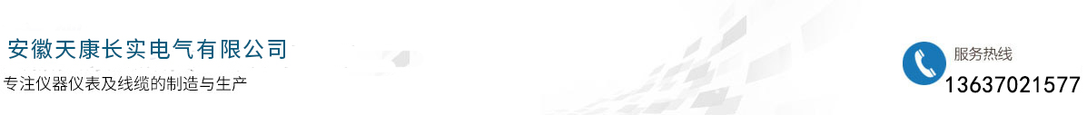 安徽天康长实电气有限公司